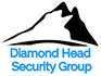 Leader in Security Services